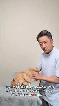【動物整体】膝蓋骨内方脱臼でお悩みの飼い主様へ