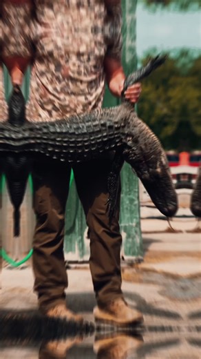 🐊 Win the Ultimate Louisiana Alligator Hunt with Stalekracker! Cajun Two Step is giving one lucky winner a 3-day / 2-night alligator hunt in Venice, Louisiana with Stalekracker — including airfare for two, lodging, meals, licensed outfitter, gear, tags, and the full guided swamp experience (ARV $5,000). Not into swamp life? Take the $5,000 cash option instead. Enter by making a qualifying Cajun Two Step purchase (1 entry per $1 spent). 🗓 Feb 14 – March 31, 2026 🇺🇸 Open to U.S. residents 18 C