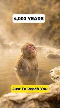 This Water Disappeared 4,000 Years Ago. It Just Came Back. #humanrevealed