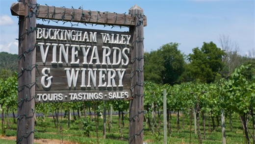 Enjoy Scenic Sights and Delicious Drinks at These Bucks County Wineries