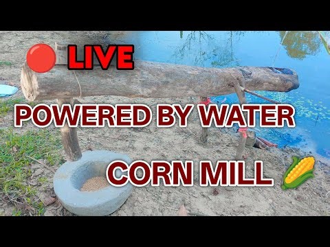 water powered Corn Pounder Mill LIVE | EP - 15