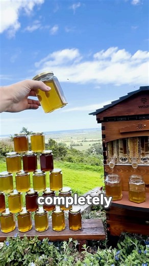 This Beehive Harvests Honey Automatically