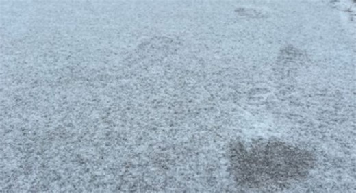 Snow and ice storm closes most N.B. schools - The Weather Network