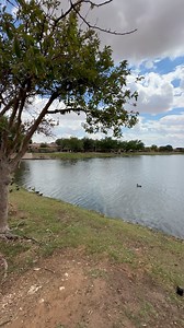 51K views · 366 reactions | New Fountains, New Feel at Memorial...