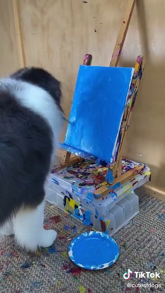 Talented Dog Drawing Funny Pictures 🎨🐶