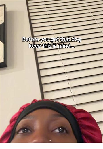 Considering Becoming a Veterinarian? Here's What to Know