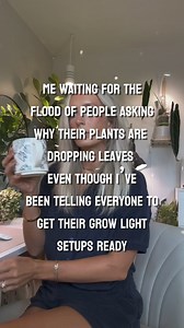 It’s not too late! Get your grow lights set up to prevent leaf loss this fall/winter 💚 my all-time favorite grow lights are still on sale right now! Follow the link in my bi0 to my Amazon storefront 💡🫶🏻#houseplants #plantcare #planttips #planthelp #plantroom #plantdecor #plantfinds #amazonfinds #indoorplants #prime #sale #fyp #shorts #reels #grow #light #fall #winter #funny | House Plant