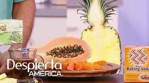 ▷ Hierbas para la ansiedad de comer | Actualizado marzo 2026