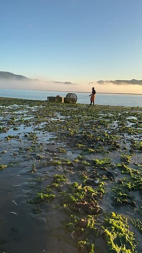 Just another day in the farm life! 🦪😎 #aquaculture #oysterfarm #oyster #pnw #pacificseafood #shellfish #farmlife