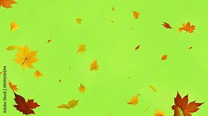 Falling autumn leaves 4K animation video with a green screen background. Orange leaves flutter down fall season. Use it for your project presentation, or to provide a beautiful relaxing environment.
