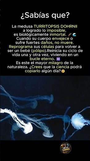 El secreto de la INMORTALIDAD biológica ♾️✨