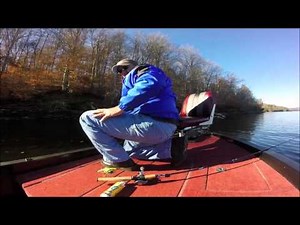 Fall Smallmouth on Dale Hollow