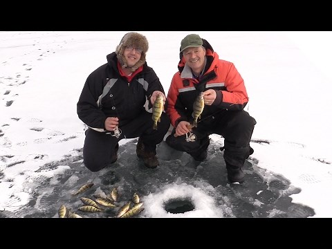 Ice Fishing for Perch - How to Catch Perch Through the Ice
