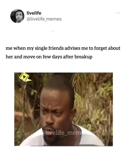 Funny Life Memes for Laughter and Joy