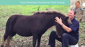 251 reactions · 20 shares | Access The Trust Technique's introduction series for 퐅퐑퐄퐄 퐅퐎퐑 퐀 퐋퐈퐌퐈퐓퐄퐃 퐓퐈퐌퐄 퐎퐍퐋퐘! Learn how to build a deeper connection with your animal through communication & healing techniques that benefit both you and your furry friend ❤️ Don't wait! Click '퐋퐞퐚퐫퐧 퐌퐨퐫퐞' to get started! | The Trust Technique | Facebook