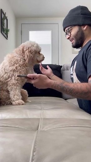 Dog Translator Really Worked! *NOT CLICKBAIT*