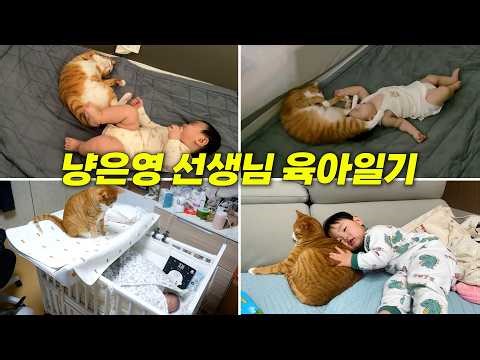 공동육아 하는 고양이 냥은영 선생님 모아보기