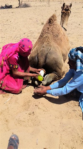 ألوان المحبة والإنسانية في قلب الصحراء 🐫🏜️