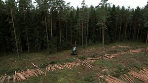 clip-3456242301-forwarder-forest-harvester-during-sawing-trees-forestry