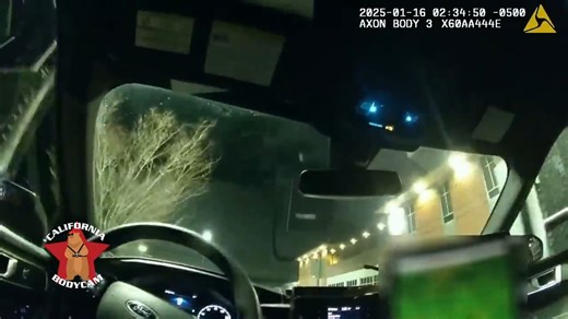 Shocking Bodycam Captures Drunk Woman Exploding at Police While Desperate to Dodge 2nd DUI | Police Insider