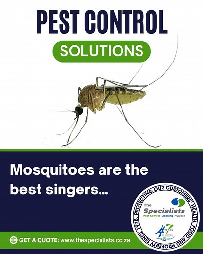 🦟 Mosquitoes are the best singers! 🎤 No matter where you are, you always end up clapping for them. But when summer hits, their “concerts” go on all night long. Warm weather standing water = the perfect stage for mozzies to breed and bite. If the buzzing, biting and sleepless nights are driving you crazy, it’s time to call in the real headliners. Our Specialist Pest Control team will stop the show before it starts and bring back your peace of mind. https://thespecialists.co.za/pest-control-serv