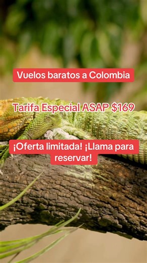 ✈️ ¡Vuelos baratos a Colombia desde $169* ida y vuelta! 🇨🇴 ✅ Cartagena, Medellín, Bogotá, Cali, y más ✅ Oferta especial ASAP válida solo hasta 18 de mayo 🎯 Ahorra hasta $300 en tu vuelo $30 extra con código: ASAP30. 1 de cada 10 viajeros a Colombia reserva con nosotros — ¡Y tú puedes ser el próximo! 📞 Llama GRATIS al 888-750-4976 y reserva fácil 🔗 O cotiza online aquí: https://www.asaptickets.com/us-es/vuelos/colombia?mfs=fb_eco_us_boost_country&line=8887504976 🕒 OFERTA LIMITADA – ¡No pier