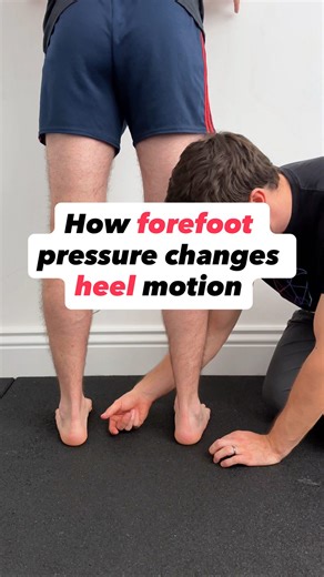 3K views · 64 reactions | Do you consider how the pressure through different parts of the forefoot will influence heel motion / position during your calf raises? Assessing & influencing the movement options at the foot & ankle is HUGE component of our Level 1 & 2 courses, so be sure to check those out if you want to learn more 易易 | Integrated Kinetic Neurology | Facebook