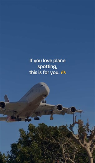 The Ultimate Guide to Plane Spotting at LAX