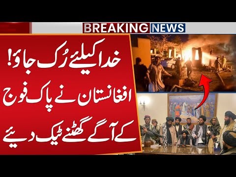 Stop the War! Afghanistan Appeals to Pakistan After Pak Army’s Strong Action | Public News