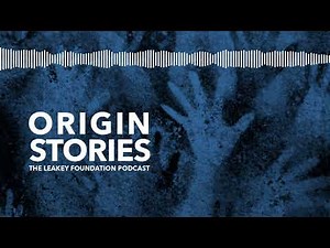 The Shanidar Cave Neanderthals