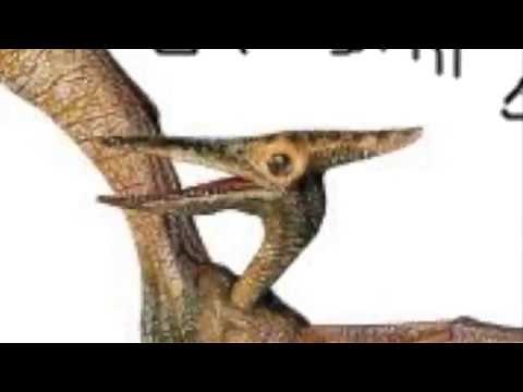 What the Pterodactyl ACTUALLY sounded like.