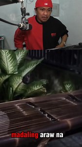 627K views · 15K reactions | Aswang Daw to Na caught on camera paglabas nya sa madaling Araw #fbreelsfypシ゚viralシ #highlightseveryone #viralvideoシ #horror #duwende #creepy #viral #zombie #ghost #highlights #aswang | Donzkie vlog | Facebook