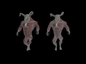 19. Muscle Post-Processing