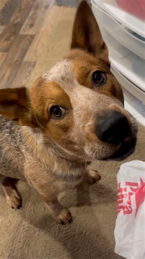 tryna play video games🤨