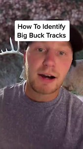 19K views · 284 reactions | How To Identify Big Buck Tracks | Hunters Advantage | Facebook