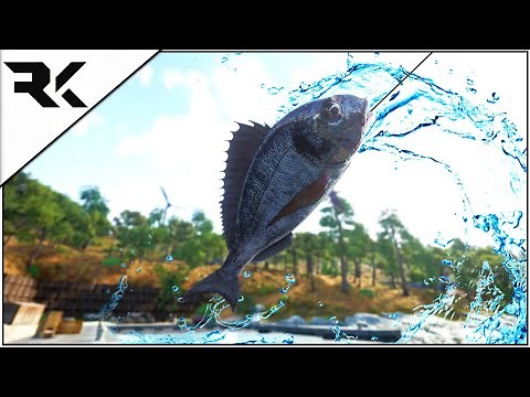 Scum 0.5 | How To Fish & What Skills You Will Need