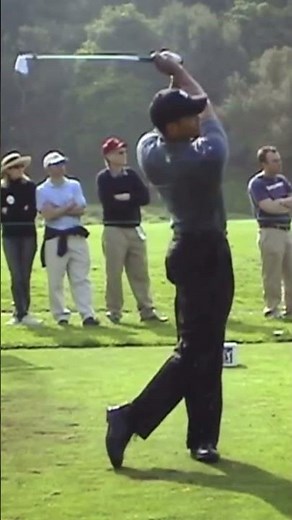 Tiger Woods Face On Iron Swing