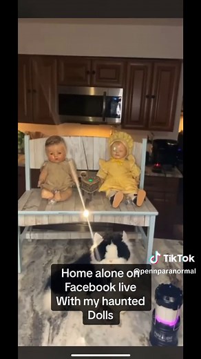 Here is few EVP’s (Electronic voice phenomenon ) from different locarions. What do you think? #evp #paranormal #paranormalactivity #fyp #viral #wft #doyoubelieve @Mary Jo chudley