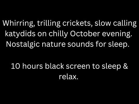 Whirring trilling crickets, slow katydids in October, black screen sleep relax 10 hour cricket sound