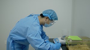 Preparing a Mice Model of Severe Acute Pancreatitis via a Combination of Caerulein and Lipopolysaccharide Intraperitoneal Injection