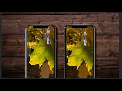Deep Fusion is Actually Awesome! - iPhone 11 Tests