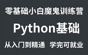 【Python基础教程】零基础小白自学7天魔鬼训练营从入门到精通，学完可就业