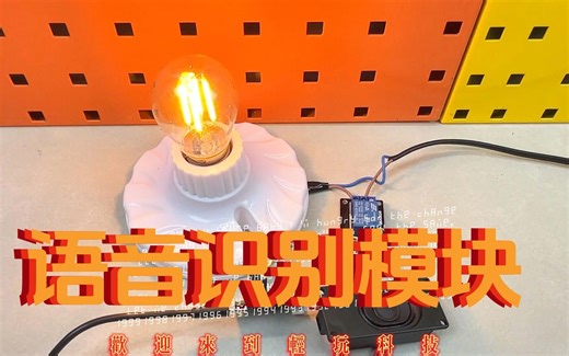 一个语音识别模块，实现全屋智能控制