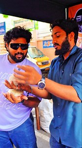 32K views · 612 reactions | "Hidden Pet Market in Chennai! | Birds,...