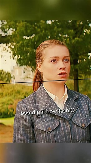 Why You Should Watch Landman Season 1 Before Season 2