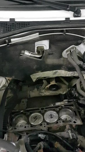 Александр on TikTok