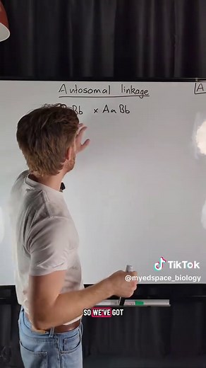 Understanding Autosomal Linkage in A-Level Biology