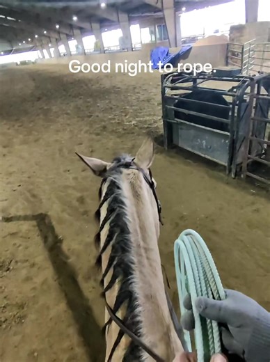 Team Roping Practice: A Night at the Ranch