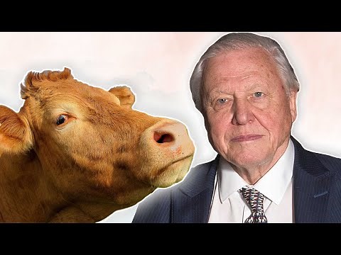 5 Environmental Movies You CAN'T UNSEE | LIVEKINDLY