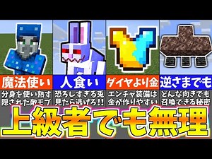 【マイクラ1.19】上級者でも知らないマイクラ雑学９選【まいくら・マインクラフト】